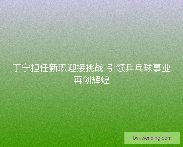 丁宁担任新职迎接挑战 引领乒乓球事业再创辉煌